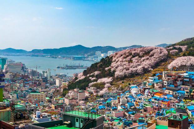韓国人「韓国第2の都市釜山の美しい日常風景をご覧ください」