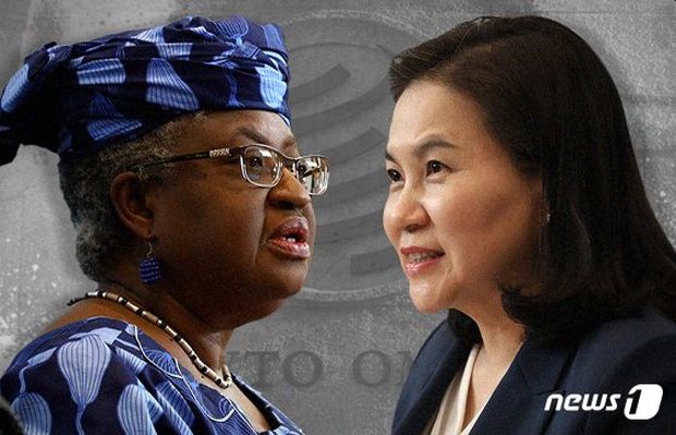 （速報）WTO事務総長選挙、ナイジェリア候補が韓国候補に大差をつけてリード…日本と中国はナイジェリア候補支持＝韓国の反応