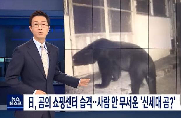 日本で相次ぐクマ被害…人間を恐れない新世代のクマ？新型コロナとも関連があるという分析も＝韓国の反応