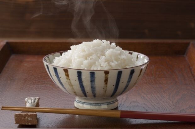 韓国人「一人飯時代の最強アイテム、日本の一人用炊飯器がすごい！」