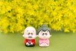 韓国人「90代の日本のおばあさんの長寿の秘訣がこれ」