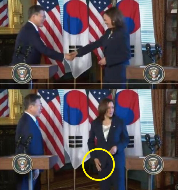 ハリス米副大統領、文在寅と握手してすぐに手を拭く映像拡散＝韓国の反応