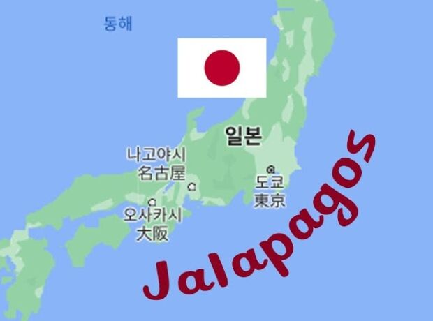 韓国人「韓国人は日本は世界から孤立していると言うが…」