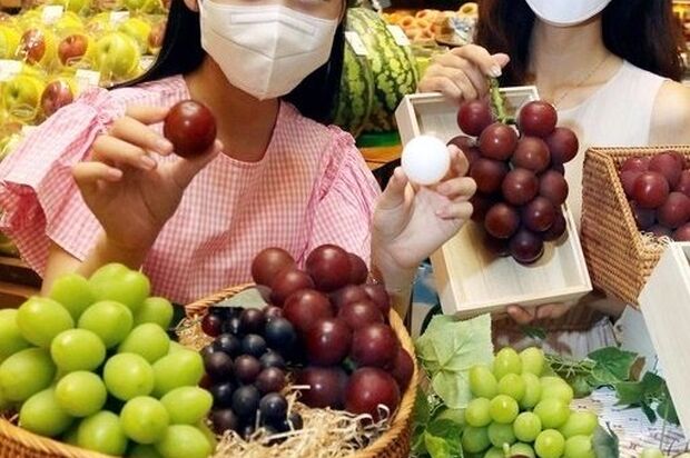 韓国人「日本から密かに持ち込んだ種子で高収益をあげる韓国の農家」