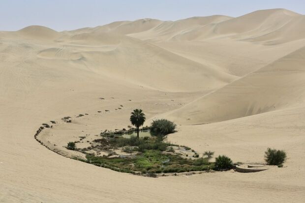 韓国人「砂漠にある水源地を知らせてくれるアイデアがすごい」