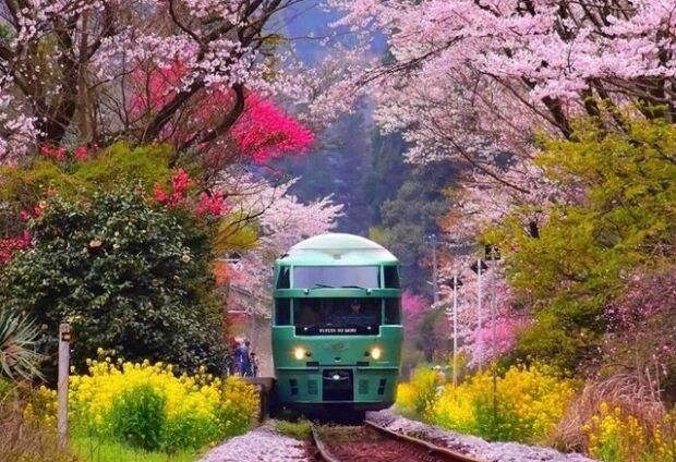 韓国人「ため息が出るほど美しい日本の写真を見てみよう」