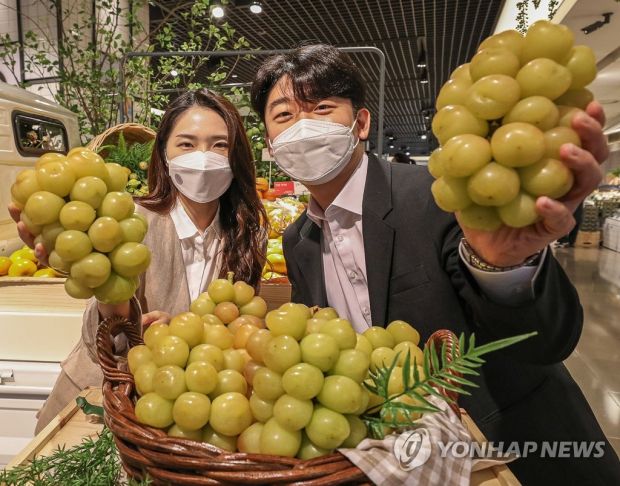 韓国人「現在、韓国で販売されたブドウが日本で大騒ぎになっている理由」
