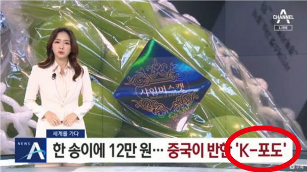 韓国人「日本のシャインマスカットをK-ブドウにしてしまう韓国の放送局」