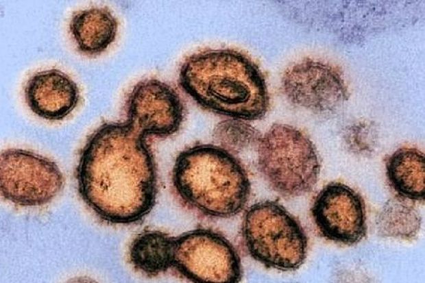 コロナウイルス殺菌効果が4時間持続する「奇跡の消毒剤」…日本の研究チームが発見＝韓国の反応