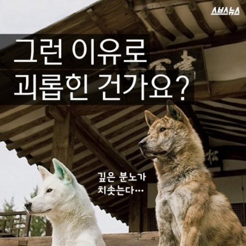 韓国人「日帝が虐殺した韓国の伝統犬『東京犬』がコチラ」