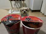 韓国人「日本のカップ辛ラーメンを食べてみた」