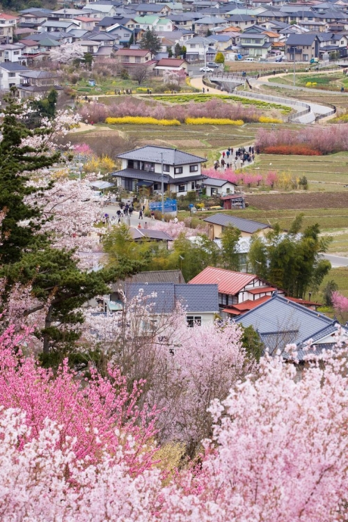 韓国人「百済人たちが住んでいた日本の古都の風景が美しい」