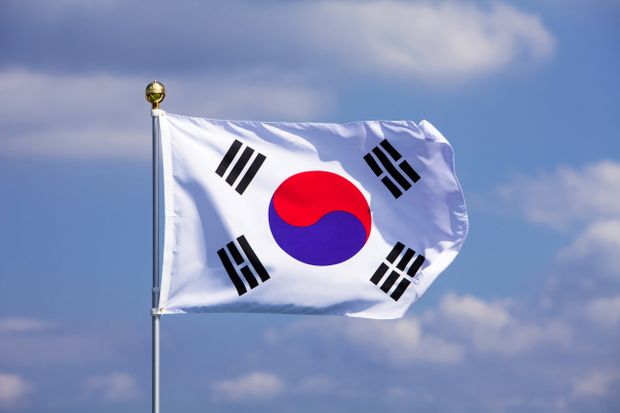 韓国人「カタールワールドカップ、太極旗を着た女が登場！」