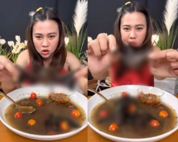 「第2のコロナ爆発か」…コウモリを食べる映像を公開したYouTuberの末路＝韓国の反応