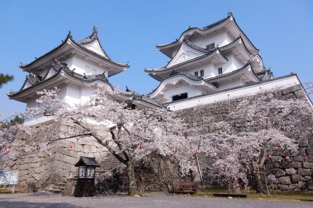 韓国人「日本の地方領主の城 vs 朝鮮王の宮殿」