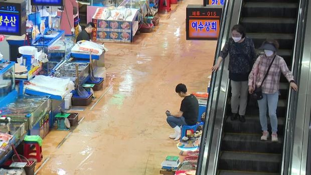 汚染水放流の知らせに凍りついた韓国の魚市場…「客足途切れる」＝韓国の反応