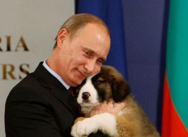 韓国人「子犬には優しいプーチンをご覧ください」