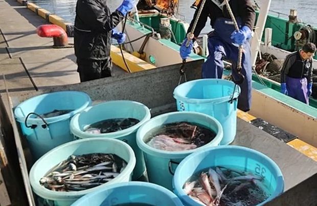 「これほどとは予想できなかった」…日本、中国の水産物全面輸入禁止に困惑＝韓国の反応