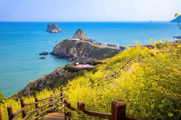 韓国人「釜山の美しい風景を見てみよう」