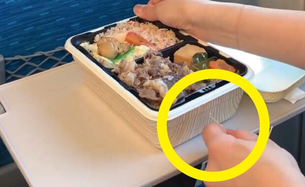 韓国人「日本の列車弁当」