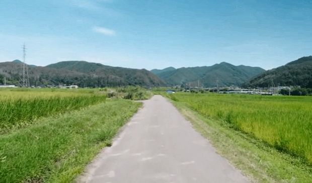 韓国人「日本の田舎、夏の風景」